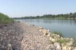 Hrtkovci Gomolava