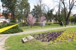Ogradjivanje