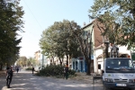 Orezivanje