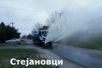 Stejanovci