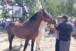 Straparijada